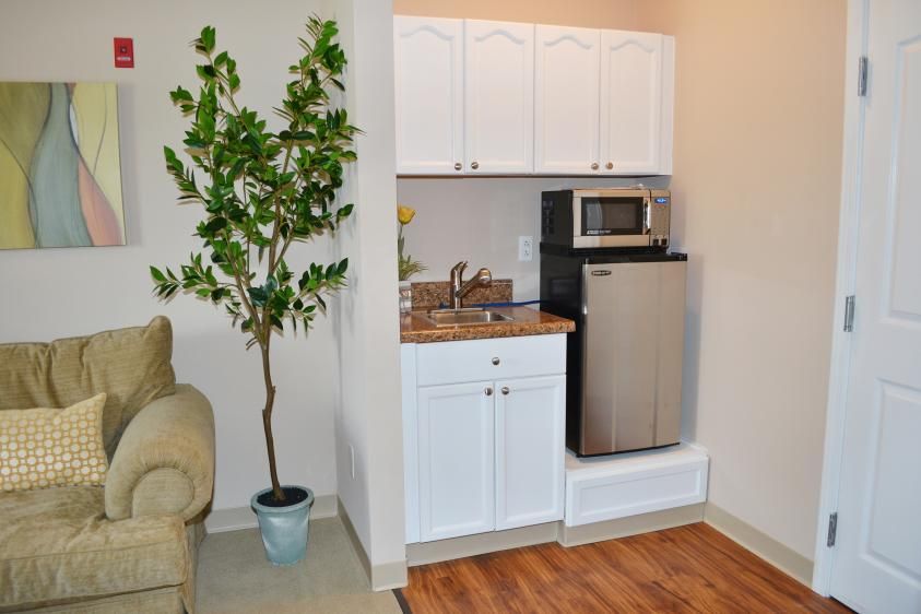 A compact kitchenette with a mini fridge, microwave, and potted indoor plant alongside white cabinetry.