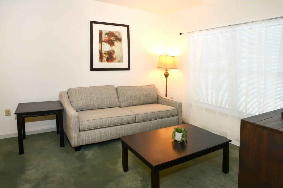 A cozy living room featuring a sofa, coffee table, and lamp with artwork on the wall.