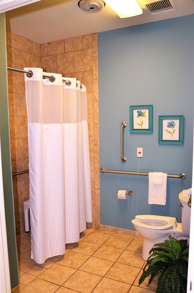 An accessible bathroom featuring a shower with a curtain, grab bars near the toilet, and decorative wall art.