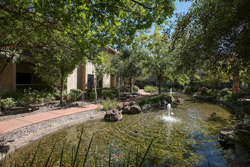 A serene park featuring a tranquil pond with a fountain, surrounded by lush greenery.
