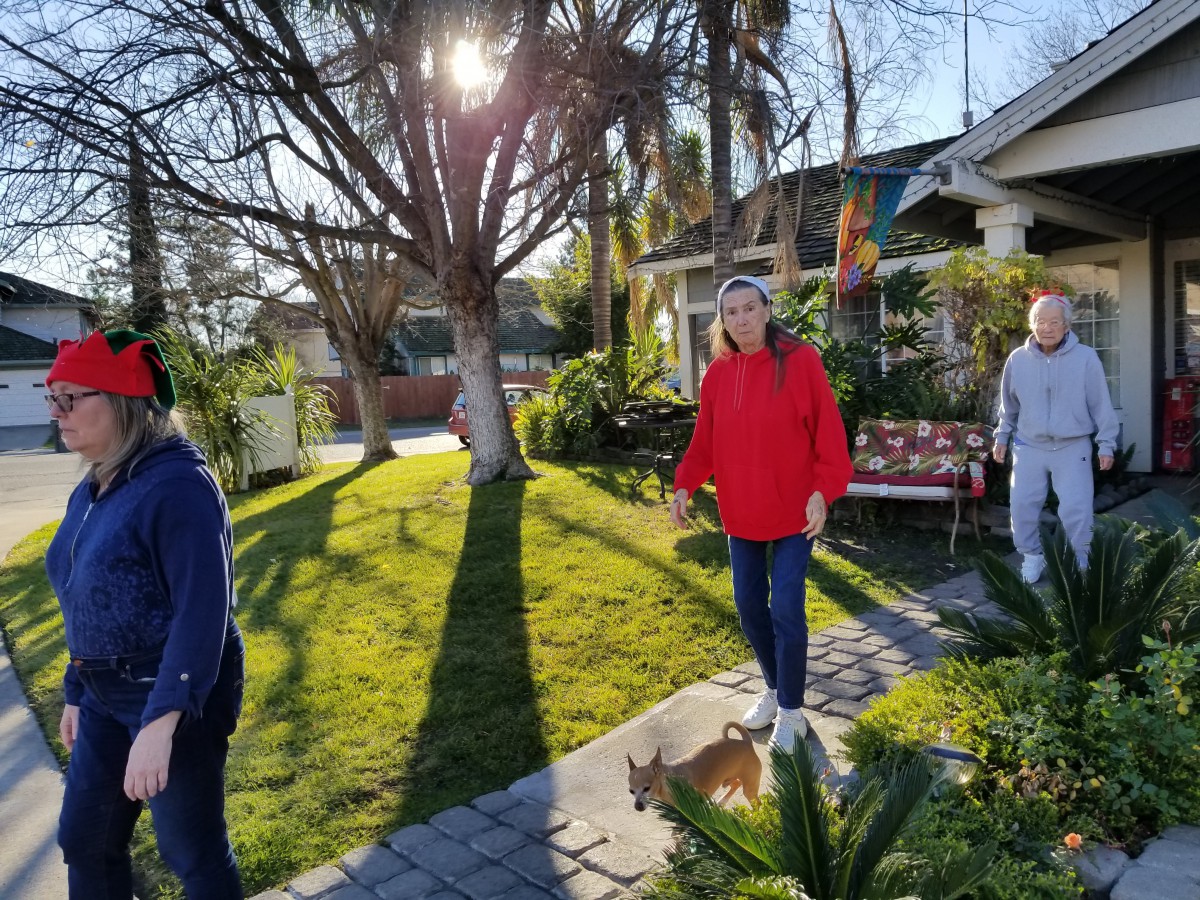 A group of people walking in a garden with a small dog during a sunny day.