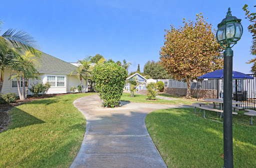 A serene pathway winding through a sunny garden with lush greenery and bright blue skies.