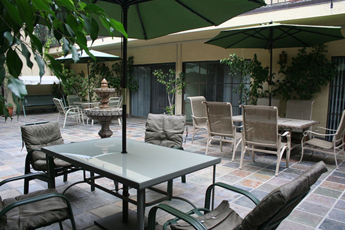 Garden Of Palms