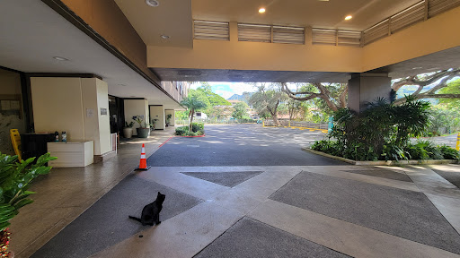 Clarence Tc Ching Villas At St Francis