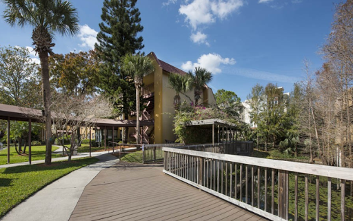 A scenic view featuring a pathway leading towards a building surrounded by lush greenery.