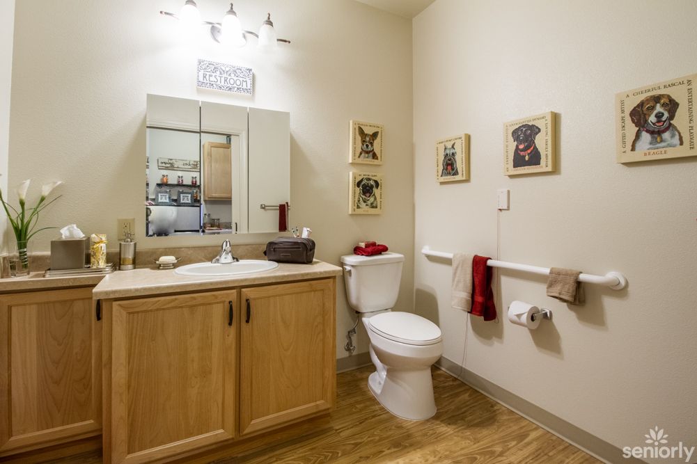 A bathroom featuring a wooden cabinet, toilet, and mirrored medicine cabinet with decorative artwork on the walls.