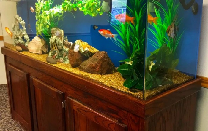 A well-maintained aquarium with goldfish, plants, and rocks on a wooden cabinet.