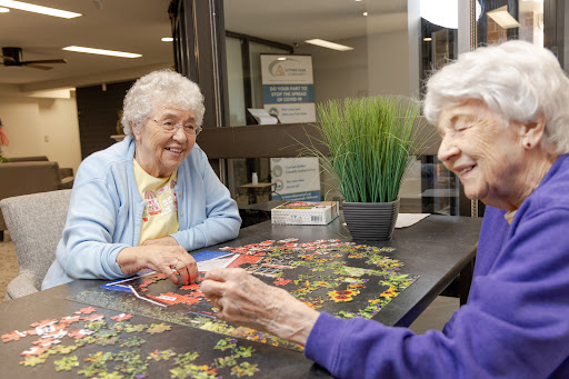 Two elderly women enjoying a puzzle together, fostering friendship and engagement.