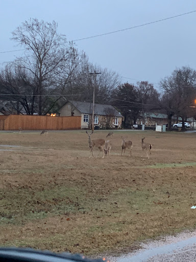 Callaway Nursing Home