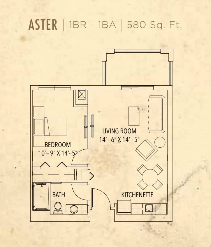 Aster: 1-bedroom, 1-bathroom apartment floor plan with a living room and kitchenette, totaling 580 square feet.