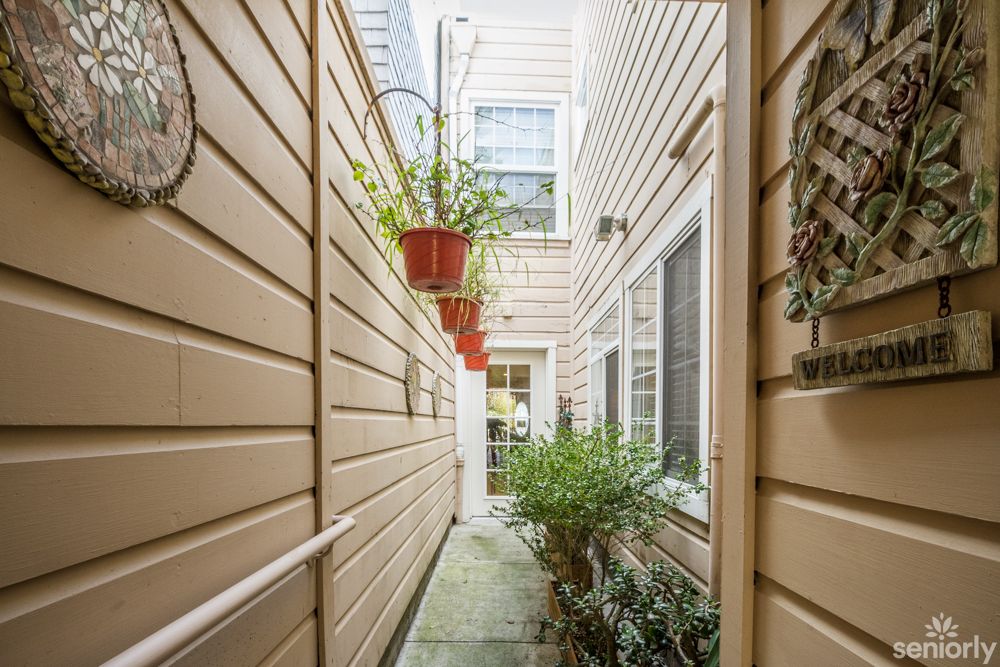 A narrow outdoor passage with hanging plants and wooden siding.