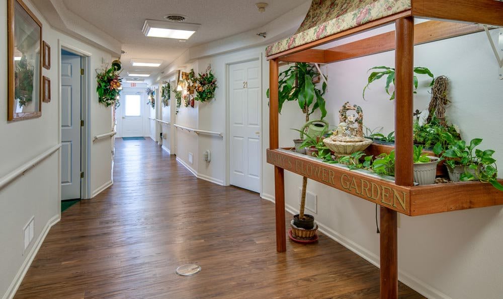 A decorated corridor with an aquarium and plants lining the walls.