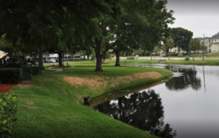 A peaceful park scene with a small lake surrounded by lush trees and green grass.