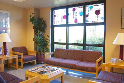 A cozy waiting area featuring comfortable sofas, a potted plant, and large windows allowing natural light to fill the space.