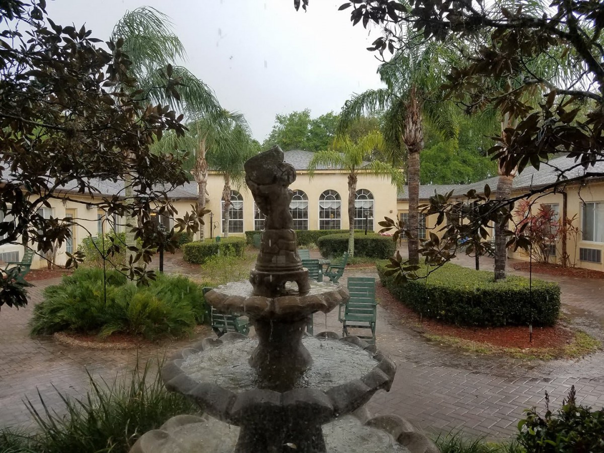 A serene garden view featuring a fountain surrounded by lush greenery and palm trees.