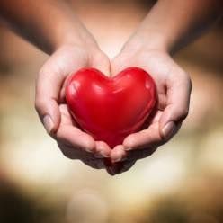 Hands gently holding a heart symbolizing love and care.
