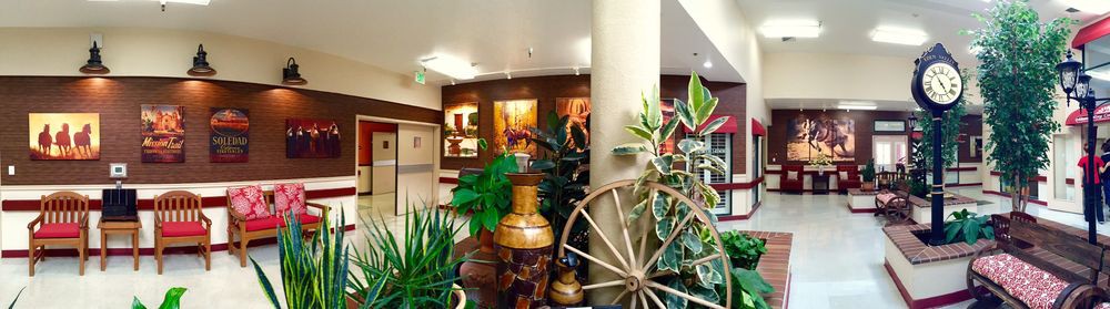 A cozy interior space adorned with plants, artwork, and decorative elements like a large vase and a wooden wheel.
