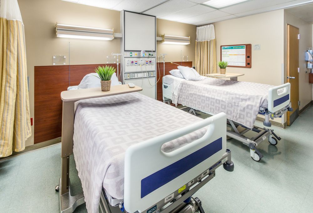 A clean and well-lit hospital room with two neatly arranged beds, each adorned with an indoor plant on the bedside tables.