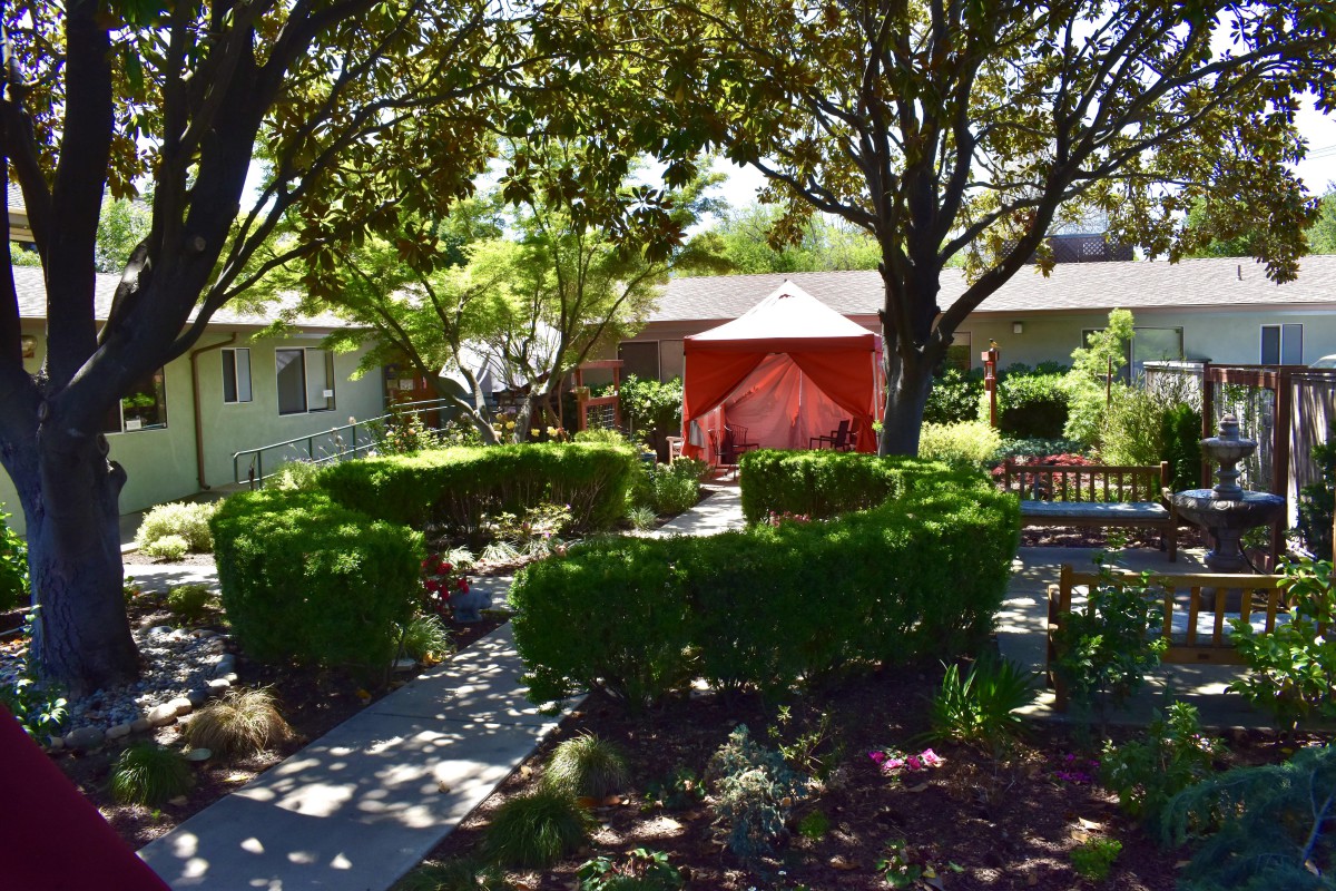 A serene garden with a pathway, surrounded by trimmed bushes and trees, leading to a red tent.