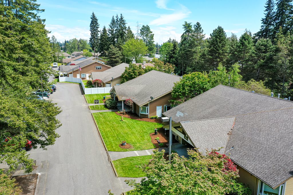 Aerial view of a suburban neighborhood with houses and tree-lined streets.