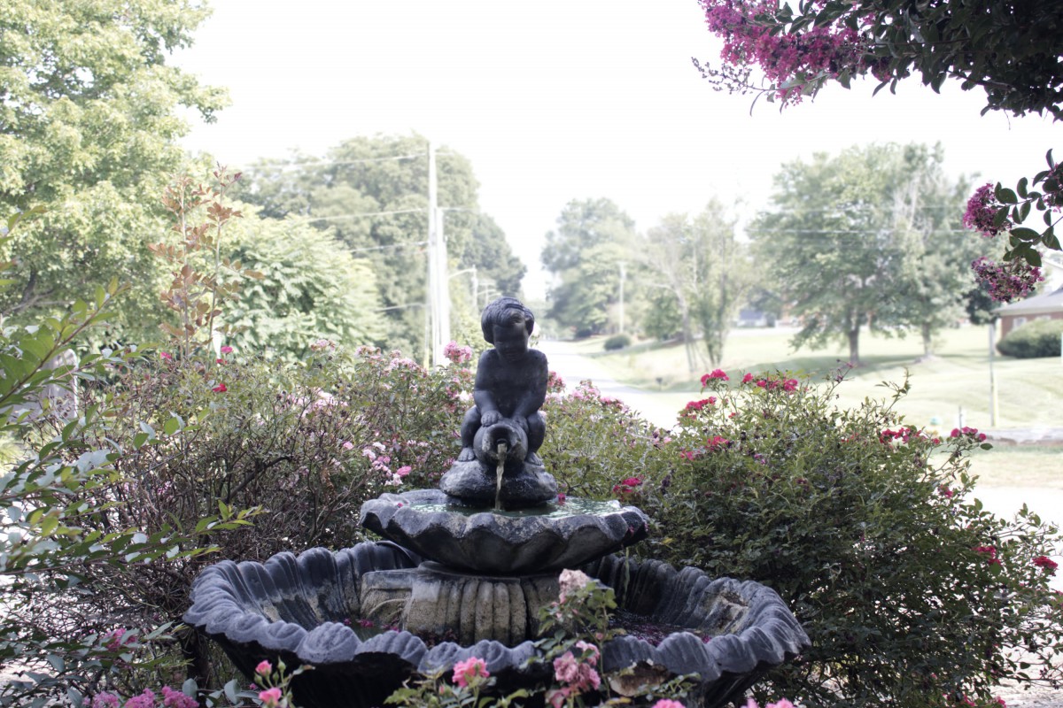 A serene garden fountain surrounded by lush greenery and vibrant flowers.