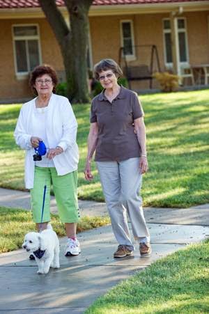 Two women enjoying a leisurely walk with a small dog in a park.
