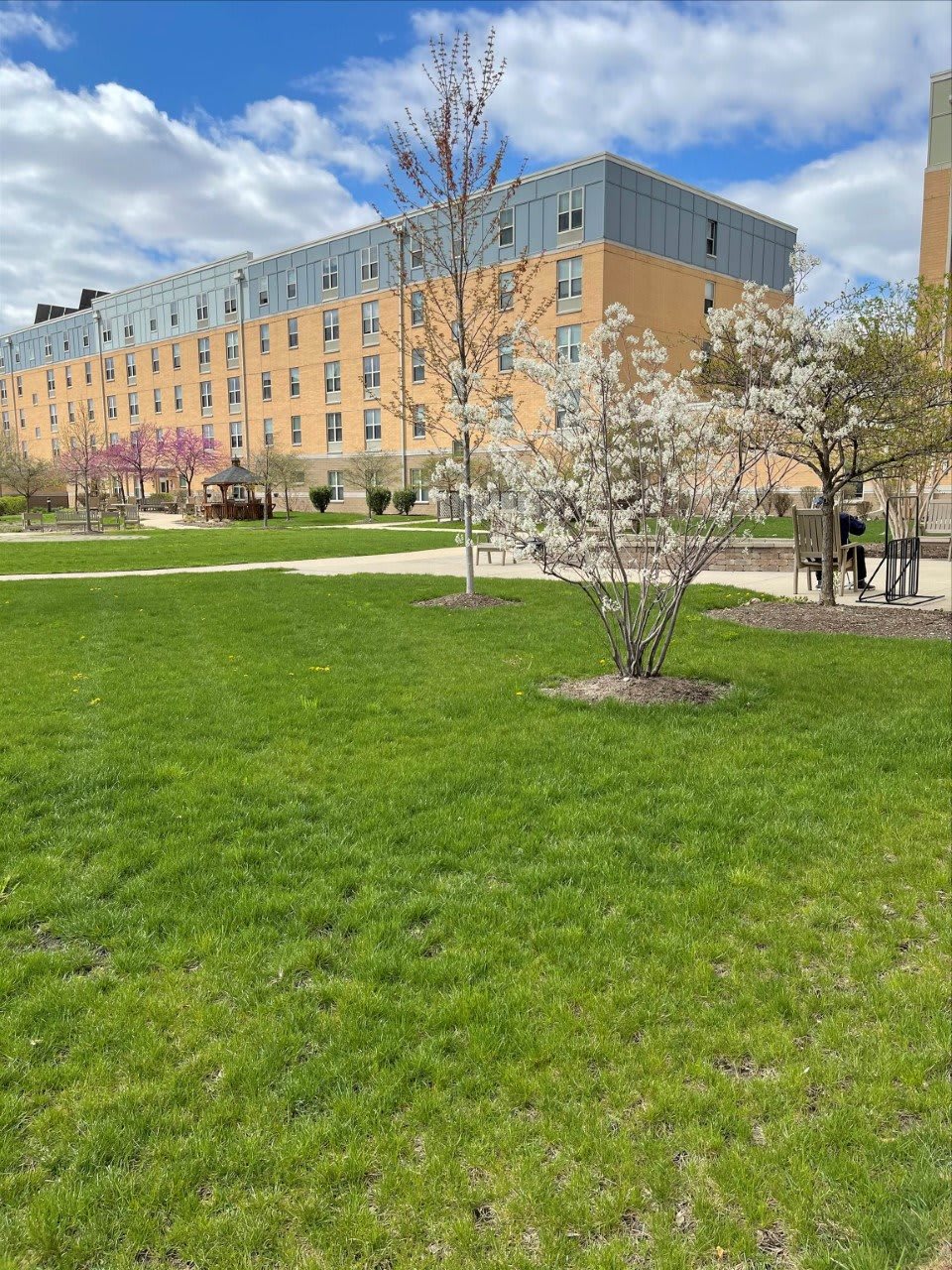 A view of a campus with green grass and blooming trees under a cloudy sky.