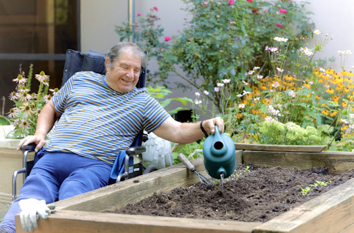 An elderly man enjoys gardening as he waters a raised garden bed from his wheelchair.
