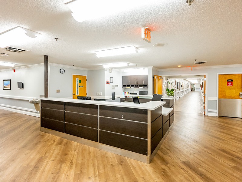 A modern hospital reception area with clean lines and bright lighting.