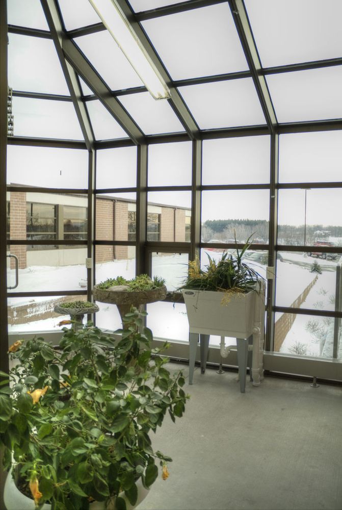 A cozy indoor greenhouse with various plants and a view of the snowy urban landscape outside.