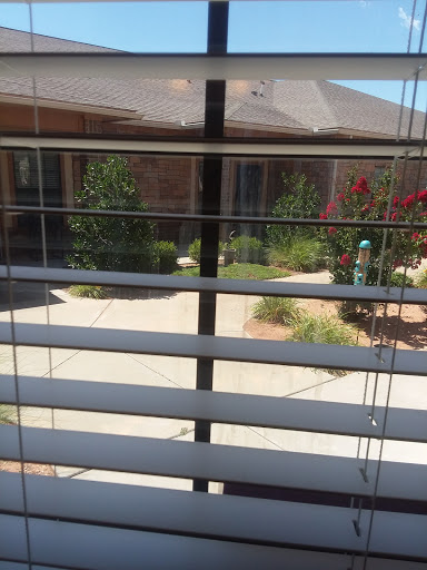 A view through horizontal blinds into a well-maintained garden area.