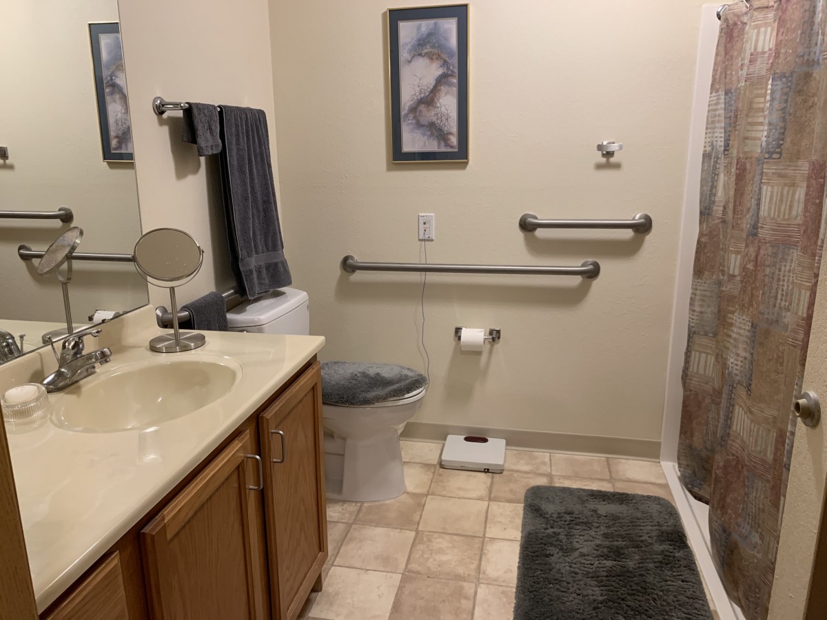 A tidy bathroom with a sink, toilet, and shower, featuring handrails for accessibility and decorative elements.