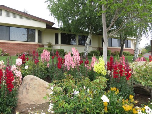 A vibrant garden with blooming flowers in front of a house.