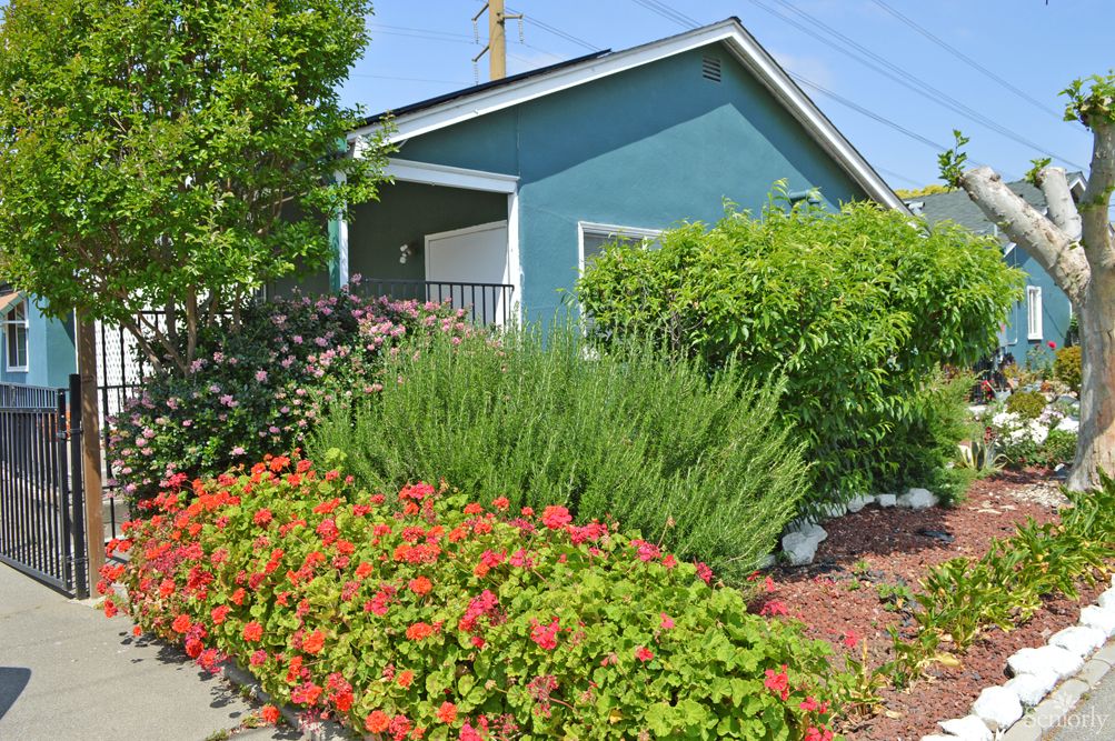 Nena & Ray's Guest Home 1
