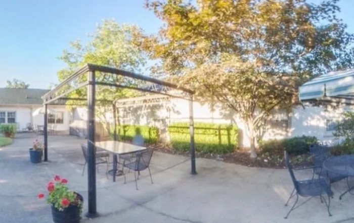 A sunny patio area with a pergola and outdoor furniture surrounded by greenery.