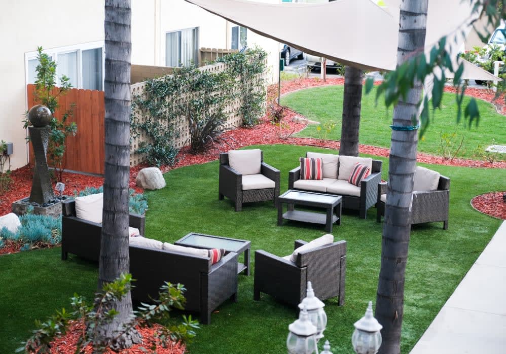 An inviting outdoor patio setup with comfortable seating on a well-maintained lawn, surrounded by palm trees.