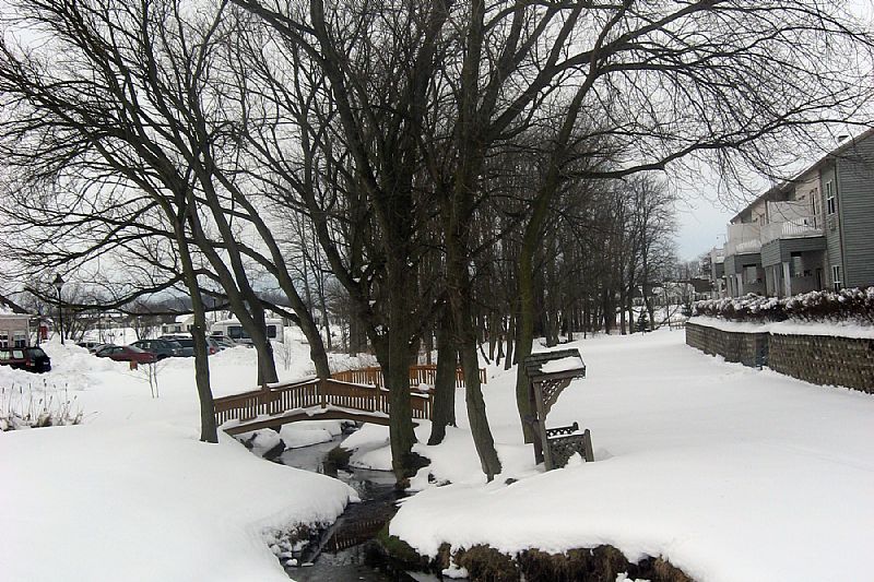 Homewood At Plum Creek