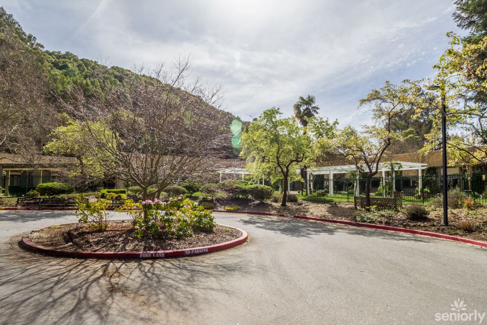 A scenic outdoor view featuring a paved road, surrounded by lush trees and a mountain backdrop.