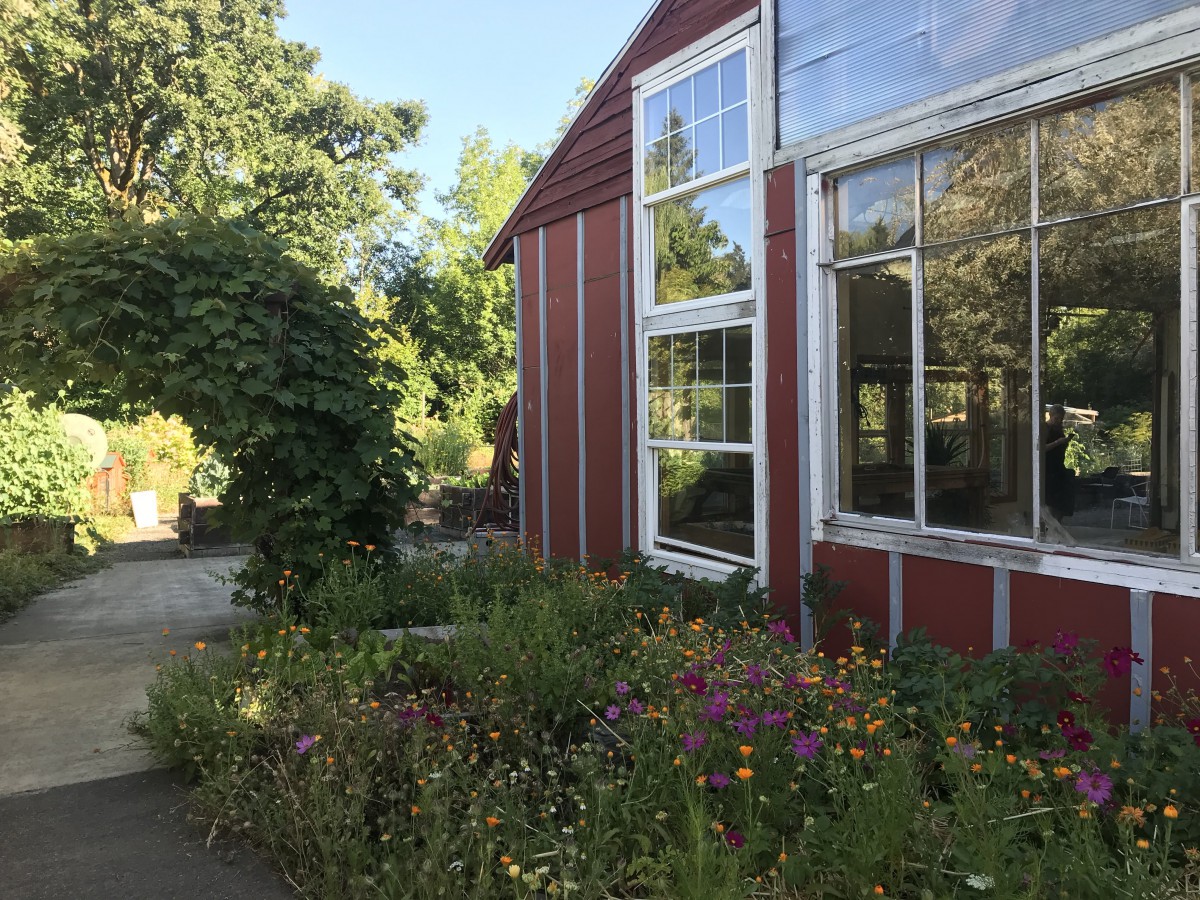 A charming greenhouse surrounded by a colorful garden full of flowers.
