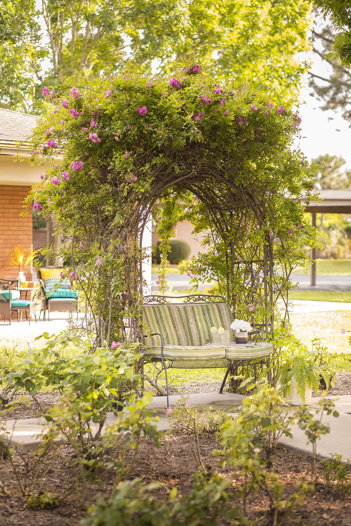 A peaceful garden scene with a bench under a lush, vine-covered arbor.