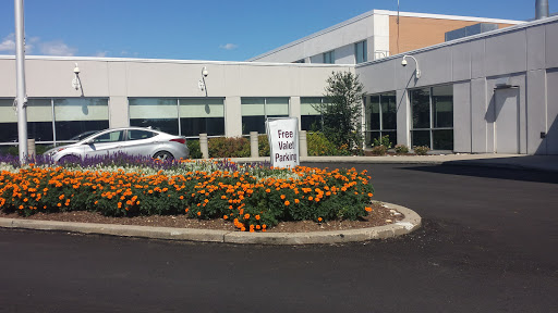 A well-maintained flower bed featuring bright orange flowers in front of a modern building.