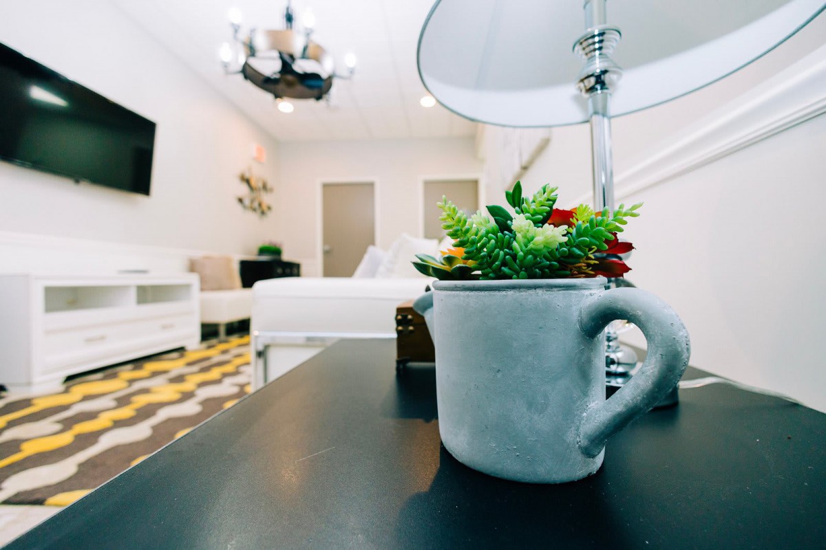 A cozy living room with a decorative plant in a mug on the table.