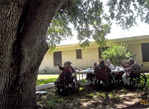 A group of seniors enjoying a sunny day outdoors, engaged in conversation around a table under the shade of a tree.