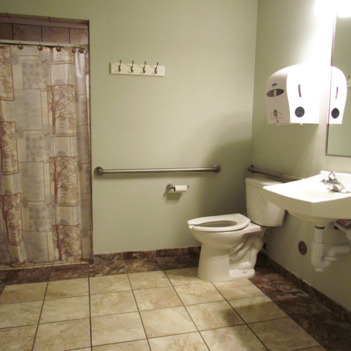 A clean, handicap-accessible bathroom with a toilet, sink, and shower.