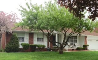 A suburban house with a front lawn and a tree.