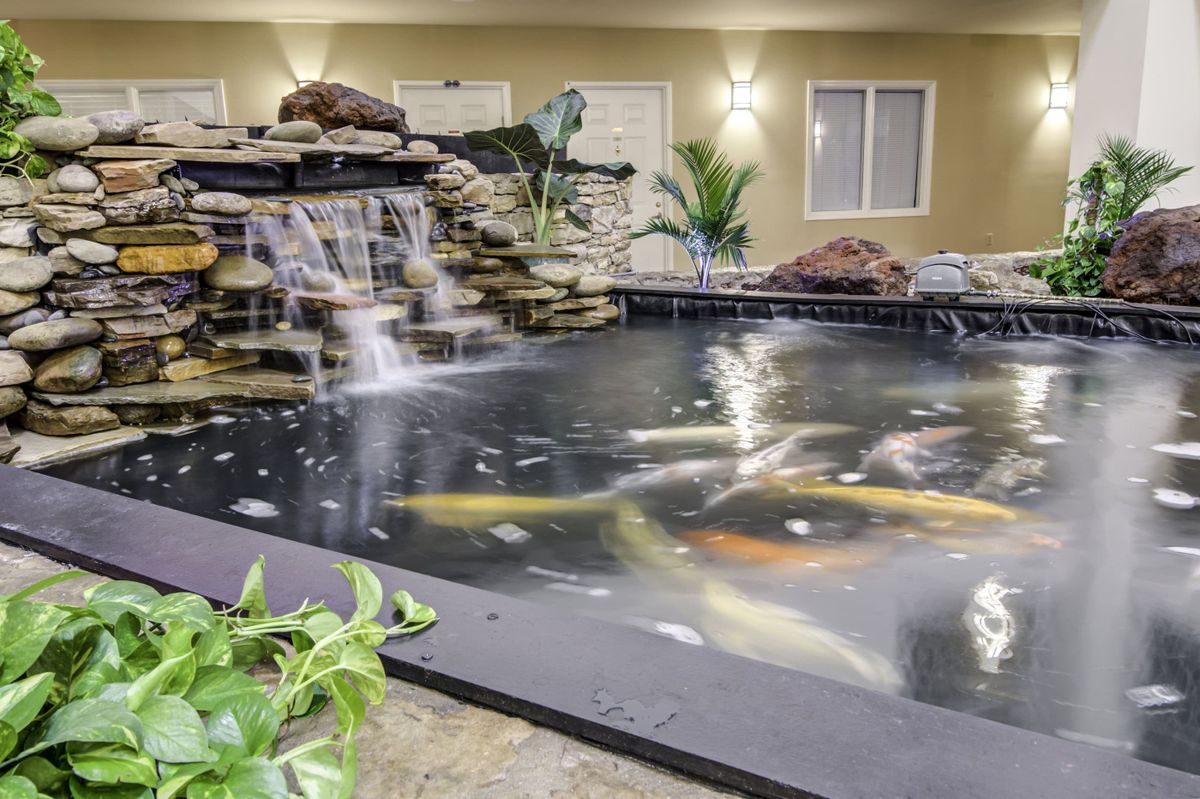 A serene indoor pond featuring koi fish and a small waterfall, surrounded by soft lighting and greenery.