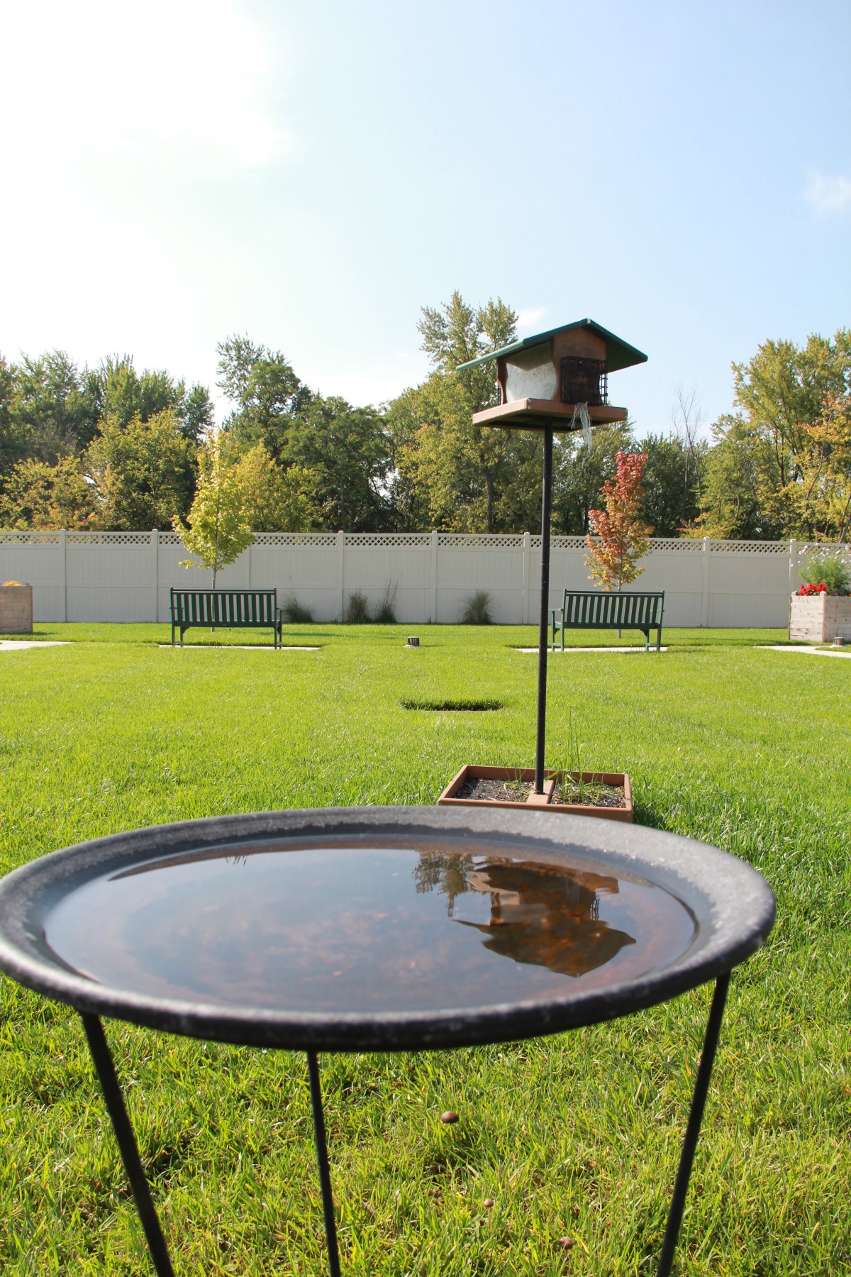 A tranquil garden scene with a birdhouse and birdbath set amidst lush green grass.