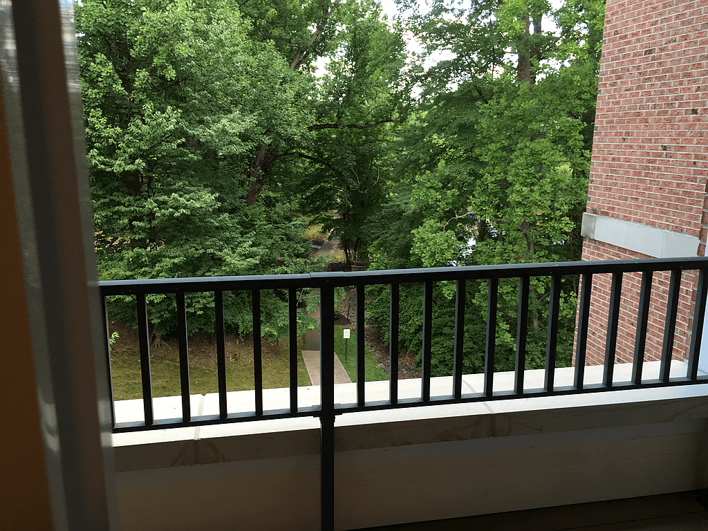 View from a balcony overlooking lush green trees.