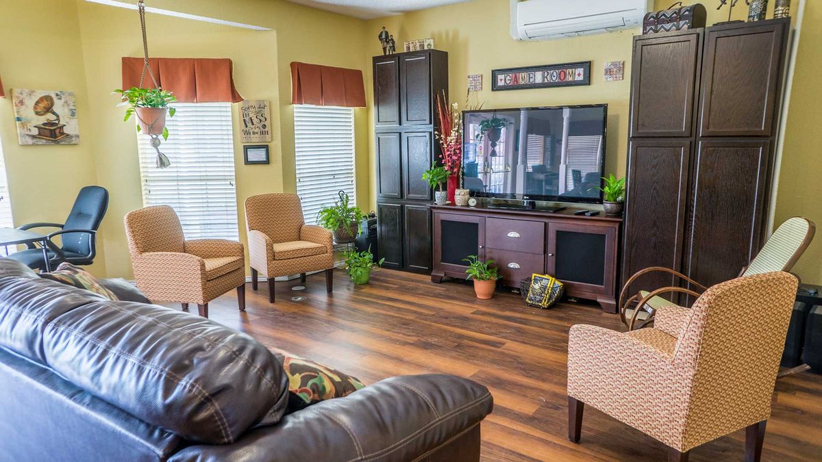 A cozy living room with a television, sofa, chairs, and decorative plants.