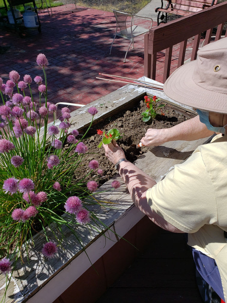 A person gardening, planting flowers in an outdoor planter on a sunny day.